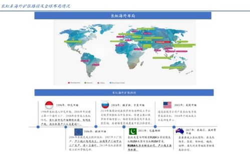 四川長虹半年報 揚(yáng)帆出海未來可期，營收逆市增長10.24%